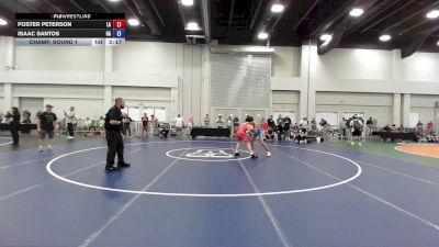 138 lbs Champ. Round 1 - Foster Peterson, LA vs Isaac Santos, GA