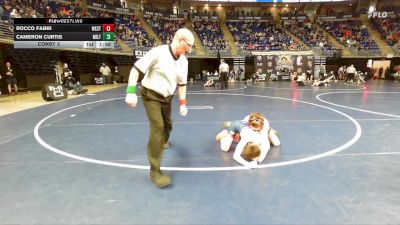 85 lbs Consy 3 - Rocco Fabri, West Chester vs Cameron Curtis, Milton