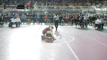 125 lbs Cons. Semi - Caly Rodriguez, Brandon vs CAMERON LORD, Sunlake