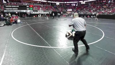 113 lbs Cons. Quarters - Tristen Gregg, West Allis Hale vs Kolten Mueller, Milton