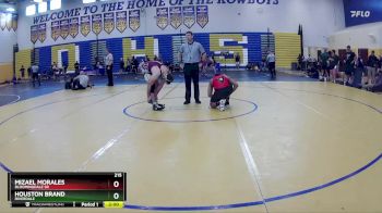 215 lbs Quarterfinal - Houston Brand, Riverdale vs MIZAEL MORALES, Bloomingdale Sr