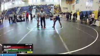 132 lbs Quarterfinal - Anthony Santos, Camden vs Ali Aksu, Freedom