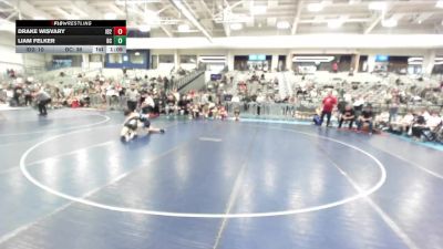 119 lbs Semis (4 Team) - Drake Wisvary, Idaho 2 vs Liam Felker, Bear Cave