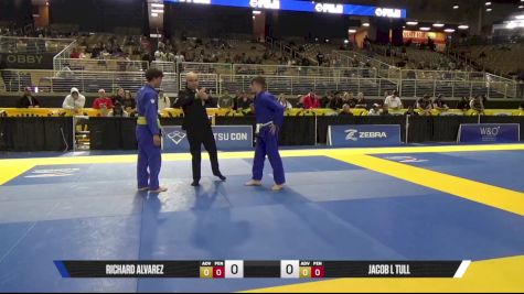 Jacob L Tull vs Richard Alvarez 2025 Pan Jiu Jitsu IBJJF Championship