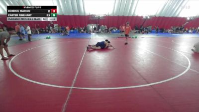 165 lbs Placement Matches (8 Team) - Dominic Marino, Glenbrook South vs Carter Rinehart, Bemidji