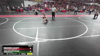 60 lbs Champ. Round 1 - Brecken Reynolds, Prairie Du Chien vs Broderick Counce, Badger Youth Wrestling