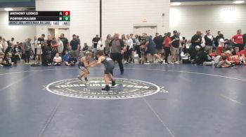 Consi Of 4 - Anthony Lodico, FL vs Porter Fulger, MI