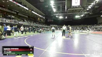 138 lbs Champ. Round 2 - Dakota Stephens, Bret Harte vs Ty Clark, Franklin (Elk Grove)