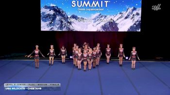 USA Wildcats - Cheetahs [2026 L2 Junior - Flex - Medium Finals] 2026 The Summit