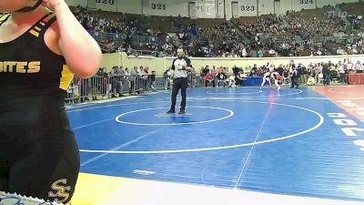 110 lbs Quarterfinal - Rylee Allen, Sand Springs vs Jaelynn Rodriguez, Altus JH