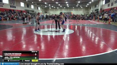 95 lbs Semifinal - Colton Peterson, Wayzata Youth Wrestling vs Axel Tollefson, No Nonsense