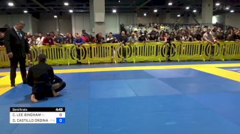 CARY LEE BINGHAM vs DAVIN CASTILLO ORDINARIO 2024 American National IBJJF Jiu-Jitsu Championship