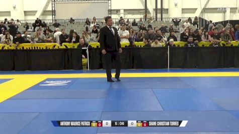 Alexander F. Seaver vs Anthony Maurice Patrick 2024 World IBJJF Jiu-Jitsu No-Gi Championship