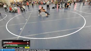 106 lbs Cons. Round 4 - Haydn Nutt, MI vs Carter Foglesong, MO