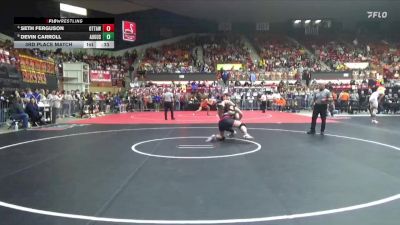 215 lbs 3rd Place Match - Seth Ferguson, Ottawa Hs vs Devin Carroll, Augusta