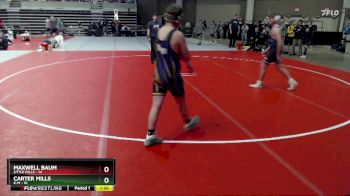 160 lbs Semis (4 Team) - Maxwell Baum, Little Falls vs Carter Mills, K-M