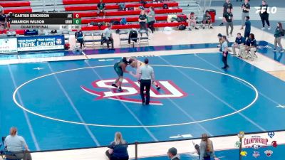 285 lbs Quarterfinal - Carter Erickson, Averett vs Amarion Wilson, Greensboro