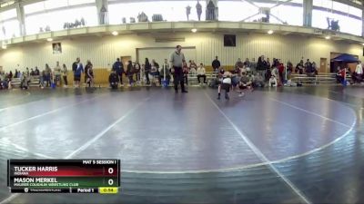 59 lbs Cons. Round 4 - Tucker Harris, Indiana vs Mason Merkel, Maurer Coughlin Wrestling Club