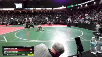 164 lbs Cons. Round 3 - Dominic Collier, LOU2 vs Graham Knepper, WWC3