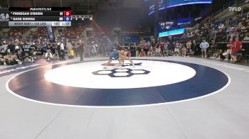 132 lbs Semis - Finnegan O'Brien, NY vs Gage Bjerga, MN