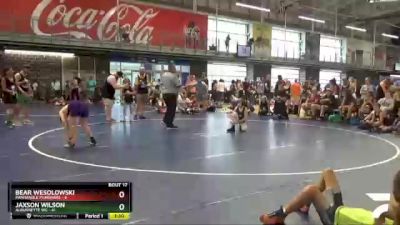 90 lbs Round 4 (10 Team) - Bear Wesolowski, Panhandle Punishers vs Jaxson Wilson, Alburnette WC