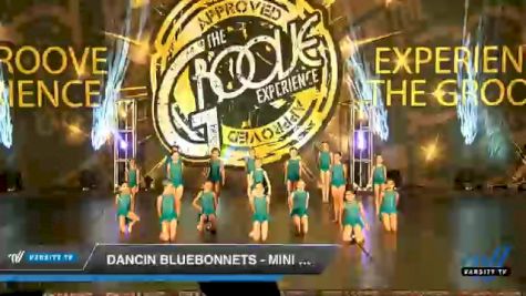 Dancin Bluebonnets - Mini Coed - Contemporary/Lyrical [2020 Mini Coed - Contemporary/Lyrical Day 2] 2020 Encore Championships: Houston DI & DII