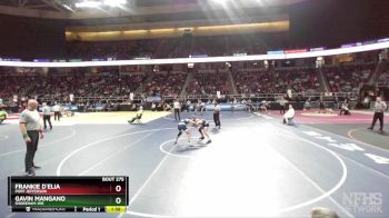 II-131 lbs Champ. Round 2 - Gavin Mangano, Shoreham-WR vs Frankie D`elia, Port Jefferson