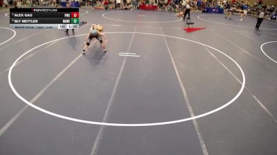 16U - 132 lbs Quarters - Alex Gau, Pinnacle Wrestling Club vs Bly Mettler, Mankato West