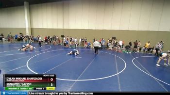 175 lbs Cons. Round 3 - Dylan Mikhail Shafizadeh, Riverton Wolf Pack vs Benjamin Tillman, Brighton Wrestling Club