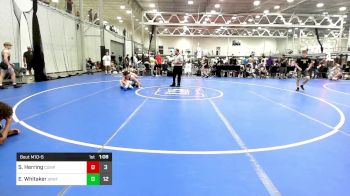 134 lbs Rr Rnd 5 - Sam Herring, The Compound RTC vs Ethan Whitaker, Joker GT