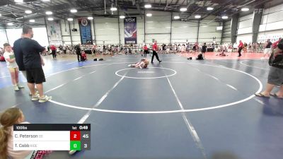100 lbs Rr Rnd 1 - Channing Peterson, Ohio Gold vs Tyler Cobb, Ride Out Wrestling Club Green