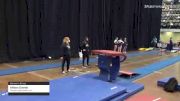 Allison Dvorak - Women's Group, Twisters Gymnastics Inc. - 2021 Women's Xcel Region 4 Championships