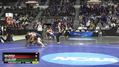 197 lbs 5th Place Match - Ian Pepple, Wis.-Eau Claire vs Dylan Harr, JWU (Providence)