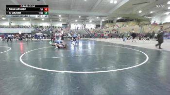 100 lbs Champ. Round 1 - Cj Weaver, Tullahoma Takedown Club vs Brian Abshire, TN Wrestling Academy
