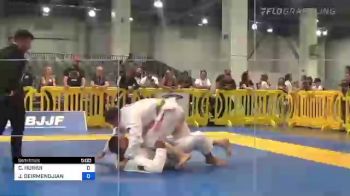 CHARLES HUIHUI vs JAMES DEIRMENDJIAN 2022 American National IBJJF Jiu-Jitsu Championship