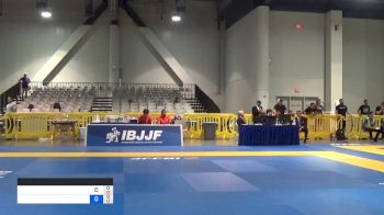 MICHAEL COLE PARKER vs BRANDEN KYLE WHITTINGTON 2019 American National IBJJF Jiu-Jitsu Championship