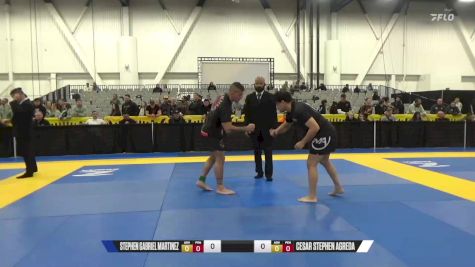 Cesar Stephen Agreda vs Stephen Gabriel Martinez 2024 World IBJJF Jiu-Jitsu No-Gi Championship