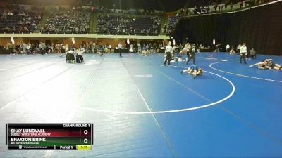 85 lbs Quarterfinal - Shay Lundvall, Sebolt Wrestling Academy vs Braxton Brink, DC Elite Wrestling