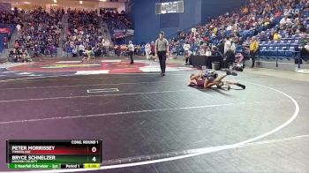 113 lbs Cons. Round 1 - Bryce Schnelzer, Loudon County vs Peter Morrissey, Timberlane