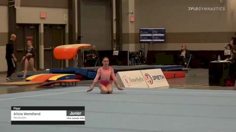 Alicia Wendland - Floor, Revolution