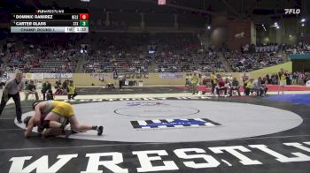 215 lbs Champ. Round 1 - Dominic Ramirez, Nelson County vs Carter Glass, St. Xavier