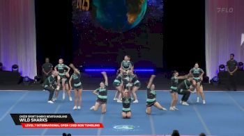 Cheer Sport Sharks Newfoundland - Wild Sharks [2025 L7 International Open Coed Non Tumbling Finals] 2025 The Cheerleading Worlds