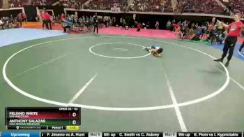 52 lbs Semifinal - Anthony Salazar, High Ground Wrestling vs Miliano White, Rise Wrestling