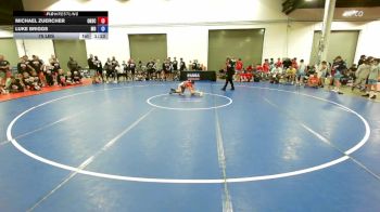 75 lbs Michael Zuercher, Ohio Scarlet vs Luke Briggs, Maryland