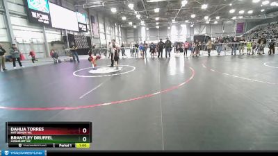 51-54 lbs Round 3 - Brantley Druffel, Lionheart WC vs Dahlia Torres, Mat Demon WC