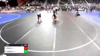 172 lbs Rr Rnd 1 - Zachary Hedman, Bad Dogs vs Braeden Sandoval, Team Pueblo