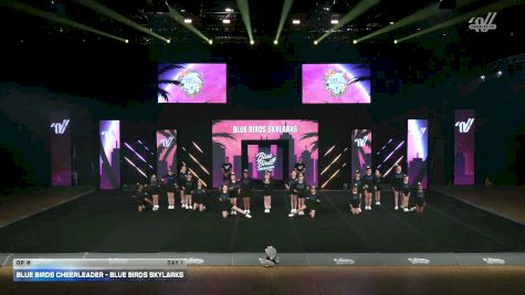 Blue Birds Cheerleader - Blue Birds SKYLARKS [2026 OP 0 Day 1] 2026 Summer All Level Championship West