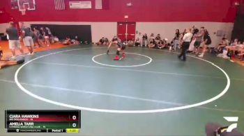 132 lbs Round 7 (8 Team) - Amelia Tarr, Cypress Wrestling Club vs Ciara Hawkins, Big Dog Ranch
