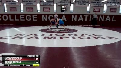 125 lbs Quarterfinal - Jacob Fitzpatrick, Minnesota State Mankato vs Dominic Chimeno, Iowa Lakes CC