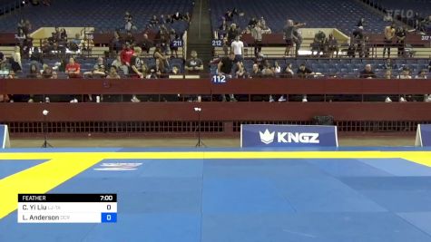 Chui Yi Liu vs Sierra Nicole Hoover 2024 Pan IBJJF Jiu-Jitsu No-Gi Championship